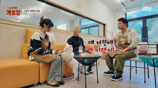 JTBC ‘집 나가면 개호강’ 캡처