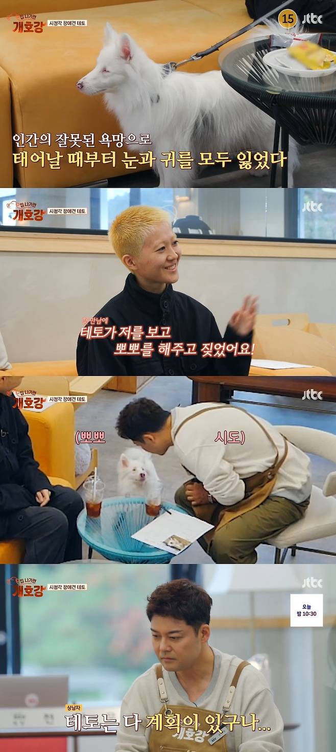 JTBC ‘집 나가면 개호강’ 캡처
