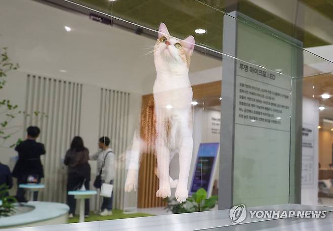 작년 10월 22일 오후 서울 강남구 코엑스에서 열린 한국전자전(KES 2024)에서 삼성전자부스에 설치된 투명 마이크로 LED에 고양이가 나오고 있다.[연합뉴스 자료사진]