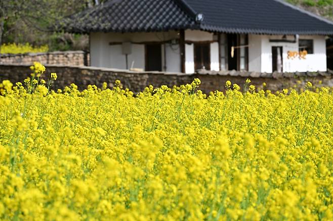 김태리 주연의 영화 ‘리틀 포레스트’의 촬영지.