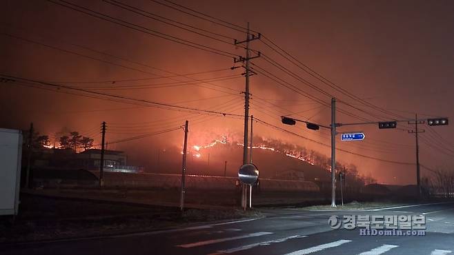 안동 산불 피해 모습. 사진=유상현 기자