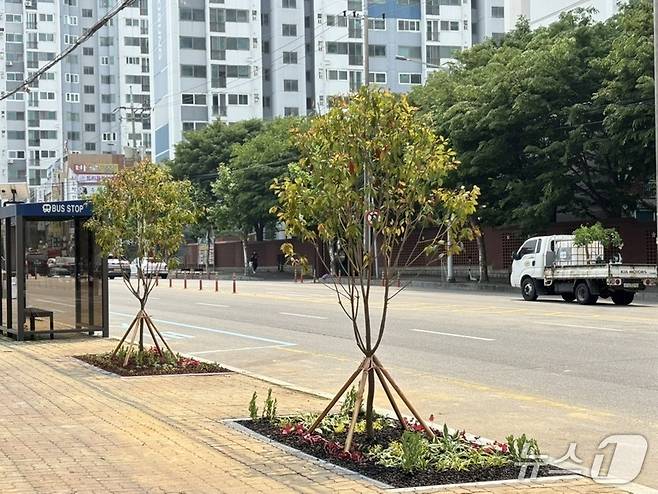군산시가 백토로 400m 구간에 가로정원을 조성했다.(군산시 제공. 재판매 및 DB금지)