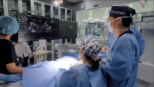 고려동물메디컬센터 심장혈관센터 수의사들이 경식도 심장초음파로 환견의 상태를 확인하고 있다(고려동물메디컬센터 제공). ⓒ 뉴스1