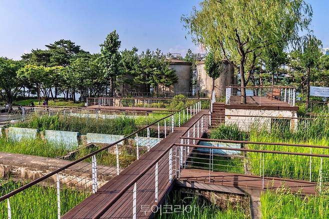 &nbsp;수질정화원&nbsp; /사진-서울관광재단
