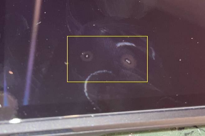 사진 : 파손된 닌텐도 스위치 2 화면 (출처=X/@Rudeboy__NYC)