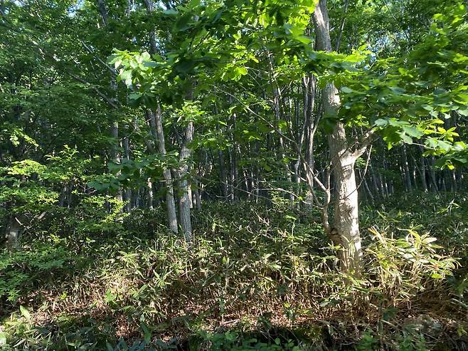 IMG_6809.jpeg 홋카이도 2일차