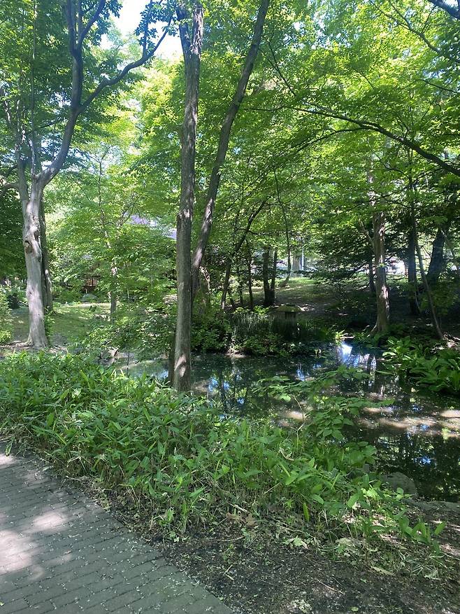 IMG_6828.jpeg 홋카이도 2일차