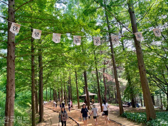 현충일 연휴이던 7일 세종 금남면 충남산림자원연구소 내 자연휴양림을 찾은 시민들이 산책하고 있다. 6월 말 폐쇄 소식이 알려지면서 평소 주말보다 두 배가량 많은 방문객이 찾았다. 시설 폐쇄 상황과 맞물려 걸린 '안녕, 금강수목원'이 문구가 눈에 띈다. 세종=정민승 기자