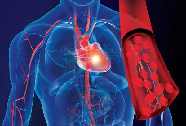 사진=클립아트코리아