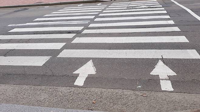 이 사진은 기사 내용과 직접 관련 없음. SBS 홈페이지 캡처