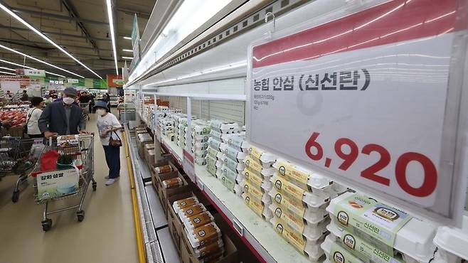 지난 8일 한국농촌경제연구원(농경연)은 ‘농업관측 6월호’ 보고서를 통해 오는 8월까지 석 달간 예측값을 발표하면서 이달 계란 산지 가격이 특란 10개에 1850∼1950원으로 1년 전보다 12.4∼18.5% 오를 것으로 내다봤다. 이날 서울의 한 대형마트에서 시민들이 달걀을 고르고 있다. [한주형 기자]