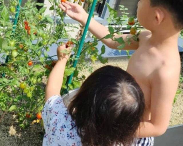 전지현이 최초로 두 아들을 공개했다. / 전지현 SNS 캡처