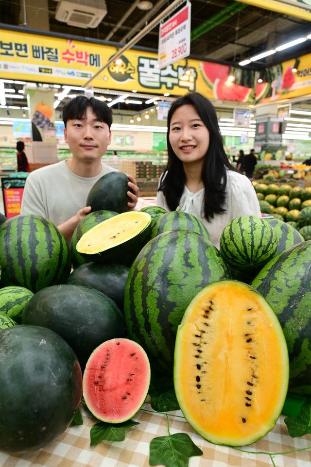 농협유통 서울 양재점에서 관계자들이 다양한 종류의 수박을 소개하고 있다. 농협유통