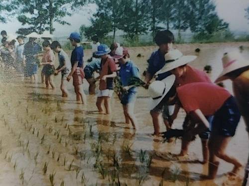 송준영 씨가 자랐던 보육원의 원생들이 원장 농장에서 모내기 하는 모습 [조윤환 고아권익연대 대표 제공]