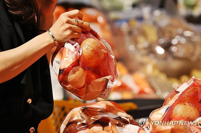 양파 [연합뉴스 자료 사진]