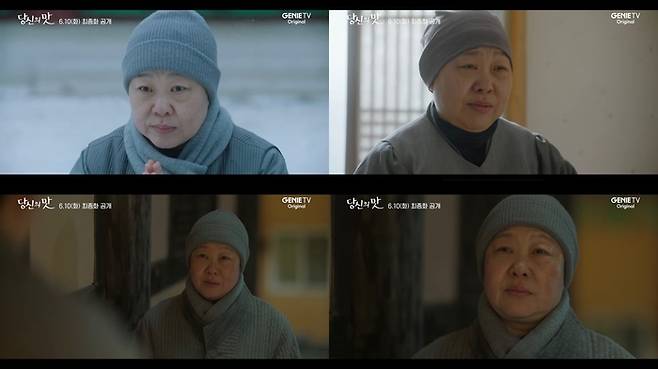 지니 TV 오리지널 ‘당신의 맛’. 사진|지니 TV