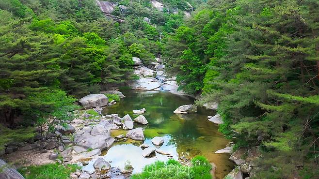 선유계곡/사진-괴산군
