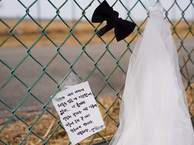 지난 1월 18일, 무안공항 12·29 여객기 참사 현장 울타리에 검은 리본과 웨딩베일, 추모 메시지가 걸려 있다. 송보현 기자