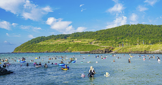 제주도. 제주도 공식 관광 정보 포털 비짓제주