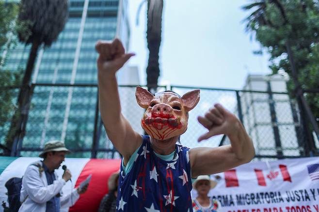 9일 멕시코시티 미국대사관 앞에서 돼지 가면을 쓴 친이민 시위자가 시위를 벌이고 있다. /연합뉴스