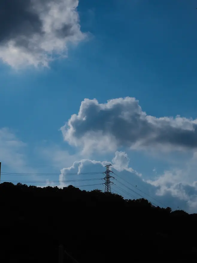 1a98f216dae26ef73eef87e74e9f3338a9b029fc505c57d4c97f6a259a544f