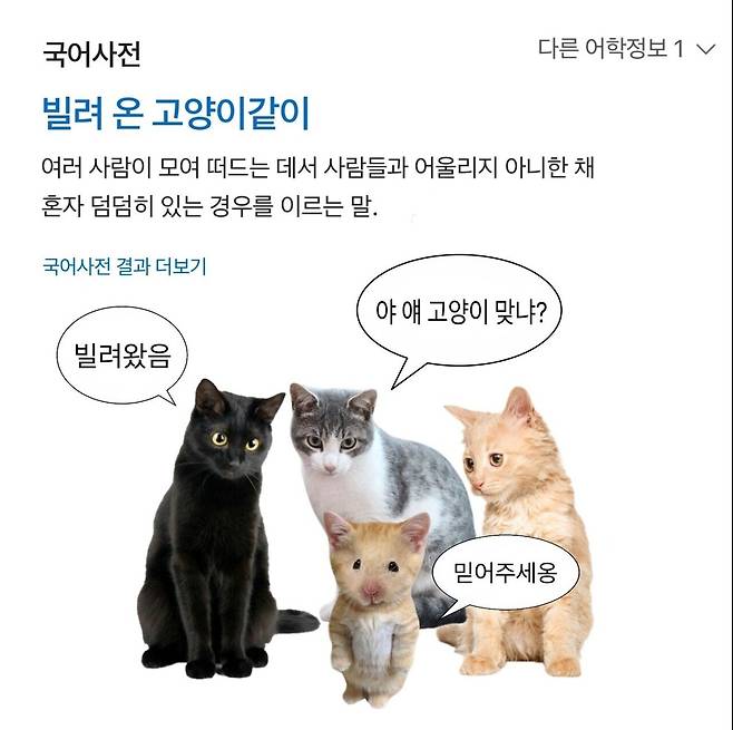 실제로 있는 귀여운 속담 실제로 있는 귀여운 속담 실제로 있는 귀여운 속담
