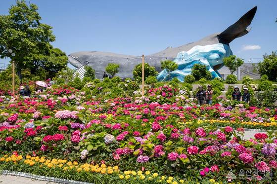 사진 = 울산 남구청