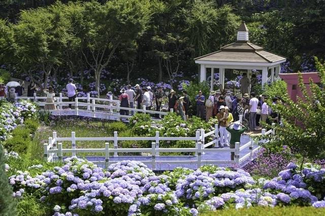 사진 = 울산 남구청