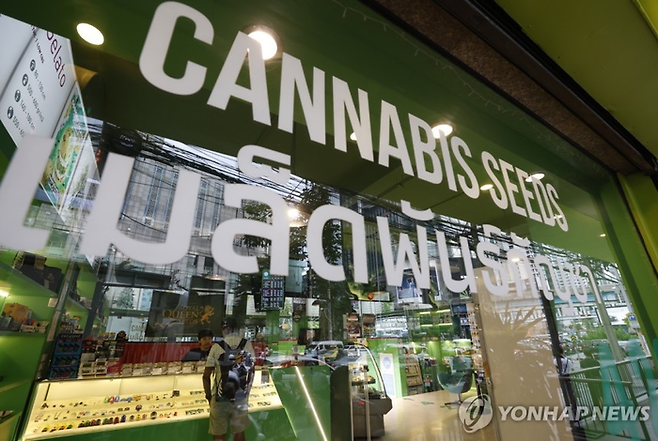 태국에 위치한 대마초 판매 가게. [연합뉴스]