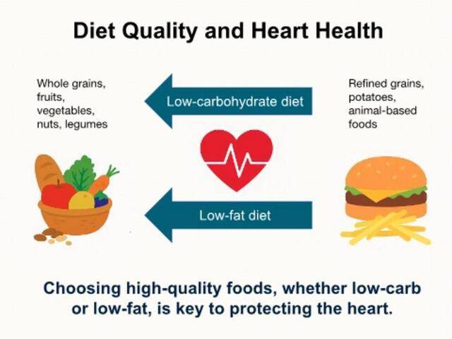 20만명을 대상으로 한 추적 연구에서 심혈관 건강을 위해서는 탄수화물이나 지방을 줄이는 것보다 정제 곡물·설탕·동물성·가공 식품 등이 적고 통곡물·과일·채소·견과류 등 식물성 식품이 많은 양질의 식단을 선택하는 게 더 중요하다는 결과가 나왔다. Zhiyuan Wu, Harvard T.H. Chan School of Public Health
