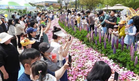함평나비축제장