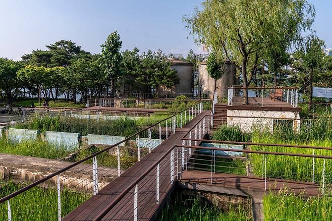 선유도 수질정화원은 약품침전지를 재활용한 공간이다. 물을 정화하는 수생식물의 생장과 정화과정을 관찰할 수 있다 사진제공|서울관광재단