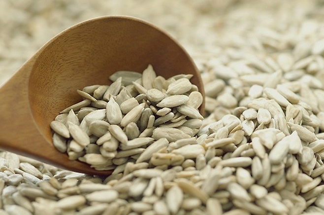 해바라기씨