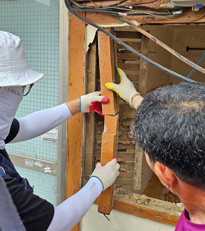 2023년 창원에서 발견된 서부마른나무흰개미(Incisitermes minor)는 기후변화로 활동 범위가 더 넓어질 수 있다.