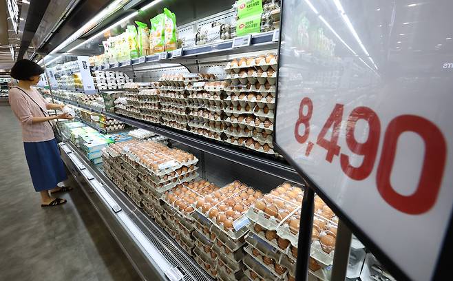 지난 9일 서울 시내 한 대형 마트에 계란 가격이 8490원이라는 안내판이 붙어 있다. 축산물품질평가원에 따르면, 지난달 계란 특란 30알의 소비자 가격은 7026원으로 3년여 만에 7000원대로 올라섰다. 상대적으로 저렴해 불황 때 소비가 늘어나는 계란, 라면, 닭고기 등의 가격마저 최근 크게 오르고 있다./뉴시스