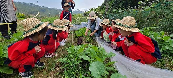 도시농업 텃밭생태 프로그램 진행 모습. 계룡시 제공
