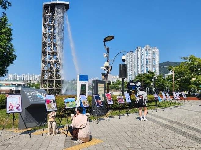 지난달 30일 부산시민공원에서 열린 반려동물 사진전을 찾은 시민들이 수상작을 감상하고 있다. 부산시 제공