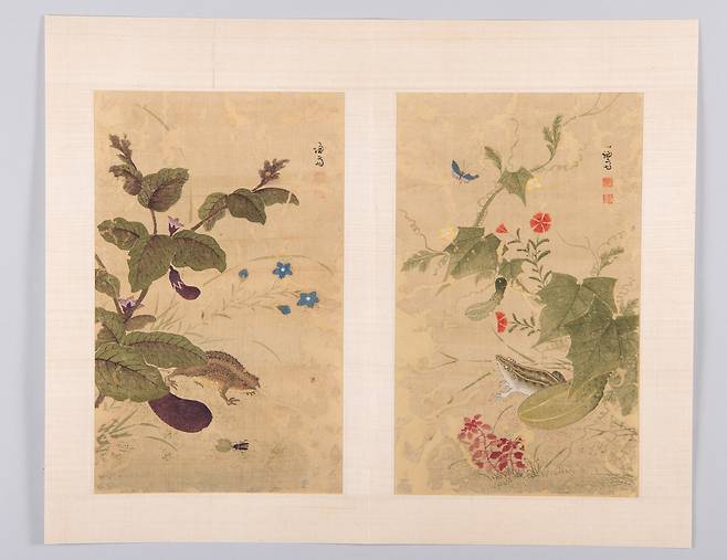 대구간송미술관에서 열리는 특별전 ‘화조미감’에 전시 중인 겸재 정선의 <화훼영모화첩> 중 ‘하마가자’(왼쪽)와 ‘과전전계’. 대구간송미술관 제공