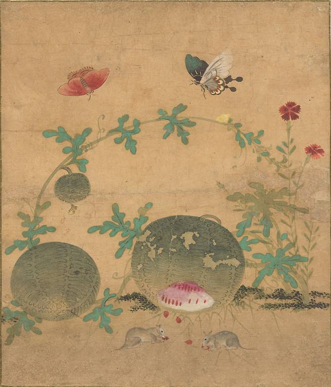 대구간송미술관에서 열리는 특별전 ‘화조미감’에 전시 중인 ‘초충도 병풍’ 중 ‘수박과 들쥐’. 신사임당이 그린 것으로 추정된다. 대구간송미술관 제공