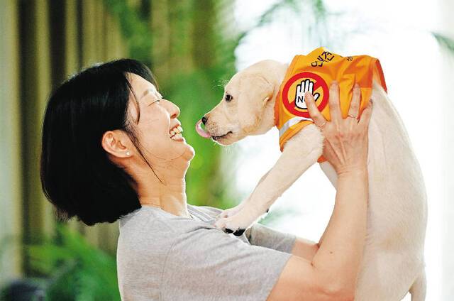 퍼피워커 홍소연씨가 지난달 23일 경기 수원시 자택에서 후보 안내견 ‘칸초’를 안고 있다. 홍씨는 칸초의 어미개인 ‘마리’의 퍼피워킹도 책임졌었다. 홍씨는 “강아지를 키우고 훈련하는데 많은 책임감이 필요하고, 강아지를 성견으로 만드는 과정에서 나 또한 같이 성장하는 모습이 보람되고 행복하다”고 말했다. 이어 “이 아이들은 엄격한 훈련을 받고 오는 거니까 식당이나 카페에서 반갑게 맞아주면 좋겠다”고 덧붙였다.