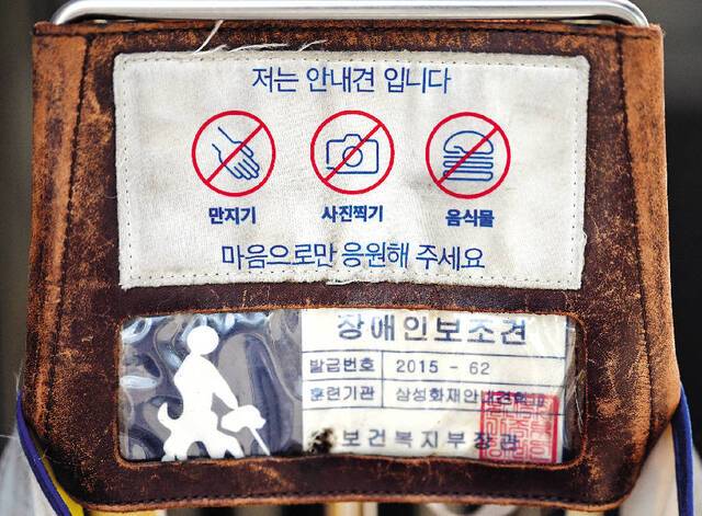 안내견이 착용하는 하네스에는 만지거나 사진을 찍고, 음식물을 주는 행위를 하지 말라는 문구가 적혀 있다. 시각장애인의 안전을 위해 안내견을 놀라게 할 수 있는 행동은 자제해야 한다.