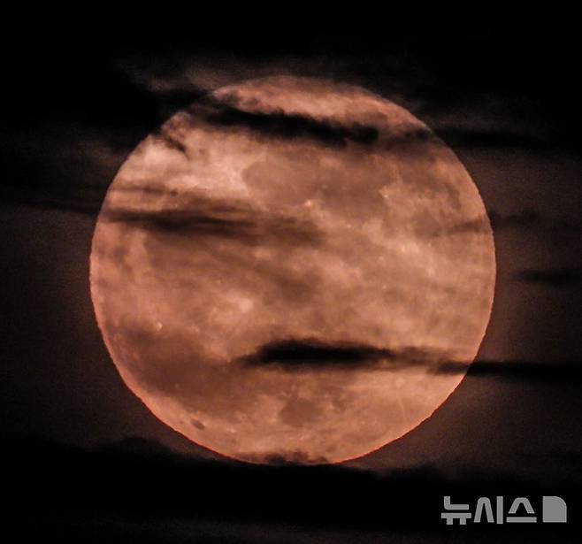 [제주=뉴시스] 우장호 기자 = 11일 오후 제주시 동쪽 하늘 위로 6월의 보름달인 스트로베리 문(Strawberry Moon)이 떠오르고 있다.스트로베리 문은 북미 원주민들이 딸기를 수확하는 시기인 6월에 뜨는 달을 의미한다. 달의 색깔이나 모양이 딸기와 직접적인 관계는 없지만 6월에 맺는 열매의 성숙을 상징한다. 올해 스트로베리 문은 18년 만에 가장 낮은 고도에서 떠오르는 보름달이기도 하다. 2025.06.11. woo1223@newsis.com