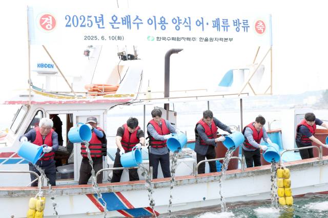 ▲참석자들이 강도다리 치어 방류하고 있다. ⓒ한울원자력본부