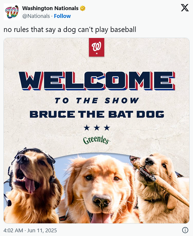 브루스 데뷔전 홍보 포스터. 워싱턴 내셔널스 SNS