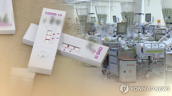 [연합뉴스TV 제공]