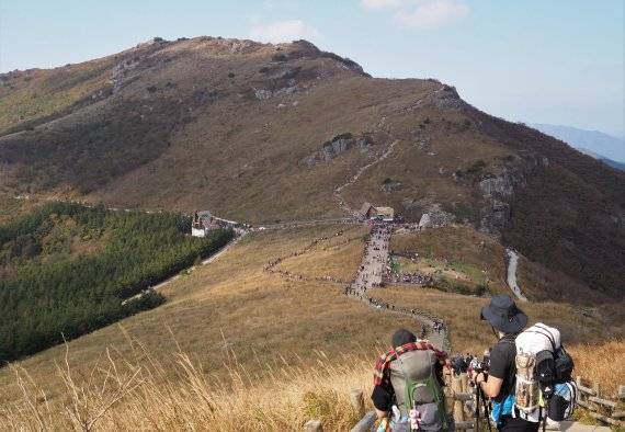영남알프스 울산 울주군 상북면 간월재. fn 사진 DB