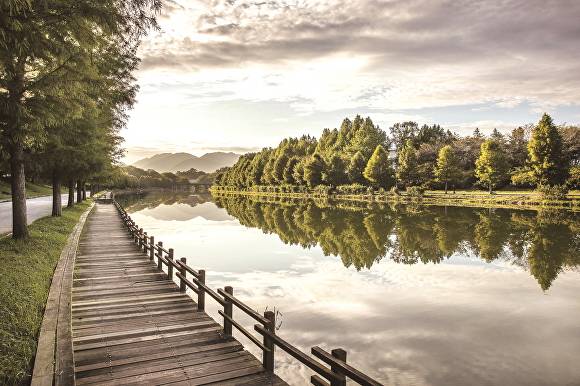 담양관방제림 전경 [사진=전남도]