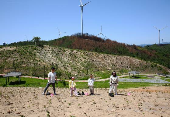 영덕 풍력발전단지 아래에서 진달래 묘목을 심고 있는 이종열씨 가족. 영덕을 비롯한 산불 피해지역에 여행을 오면 다양한 체험 활동을 할 수 있다. 모두 산불 피해지역을 돕기 위한 행동이다. 손민호 기자