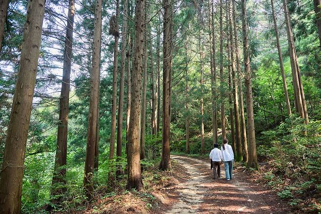 People take a stroll through Cheongwansan National Recreation Forest. [JANGHEUNG COUNTY OFFICE]