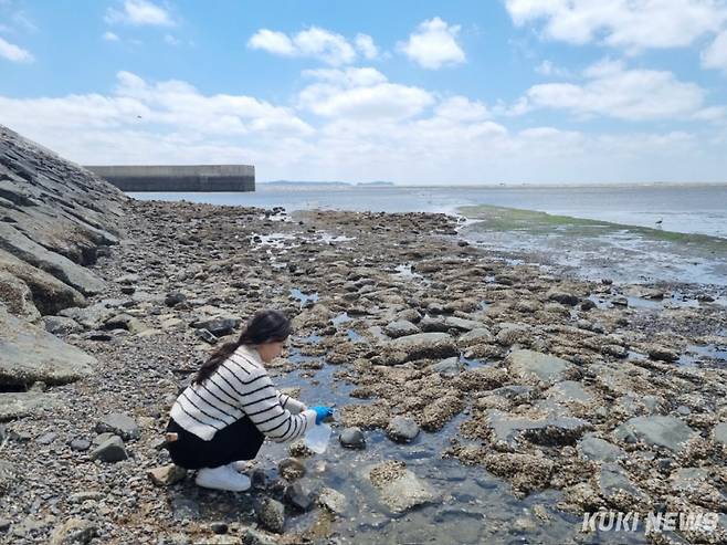 충남도 보건환경연구원은 이달부터 도내 전체 해수욕장을 대상으로 총 3단계에 걸쳐 수질검사를 실시한다.